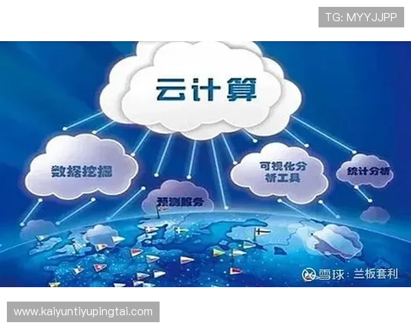 开云网页网页版数据管理与分析，助力企业实现数字化转型